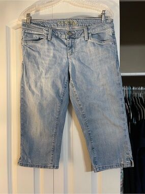 American Eagle Outfitters Light Blue Denim Cropped Jeans